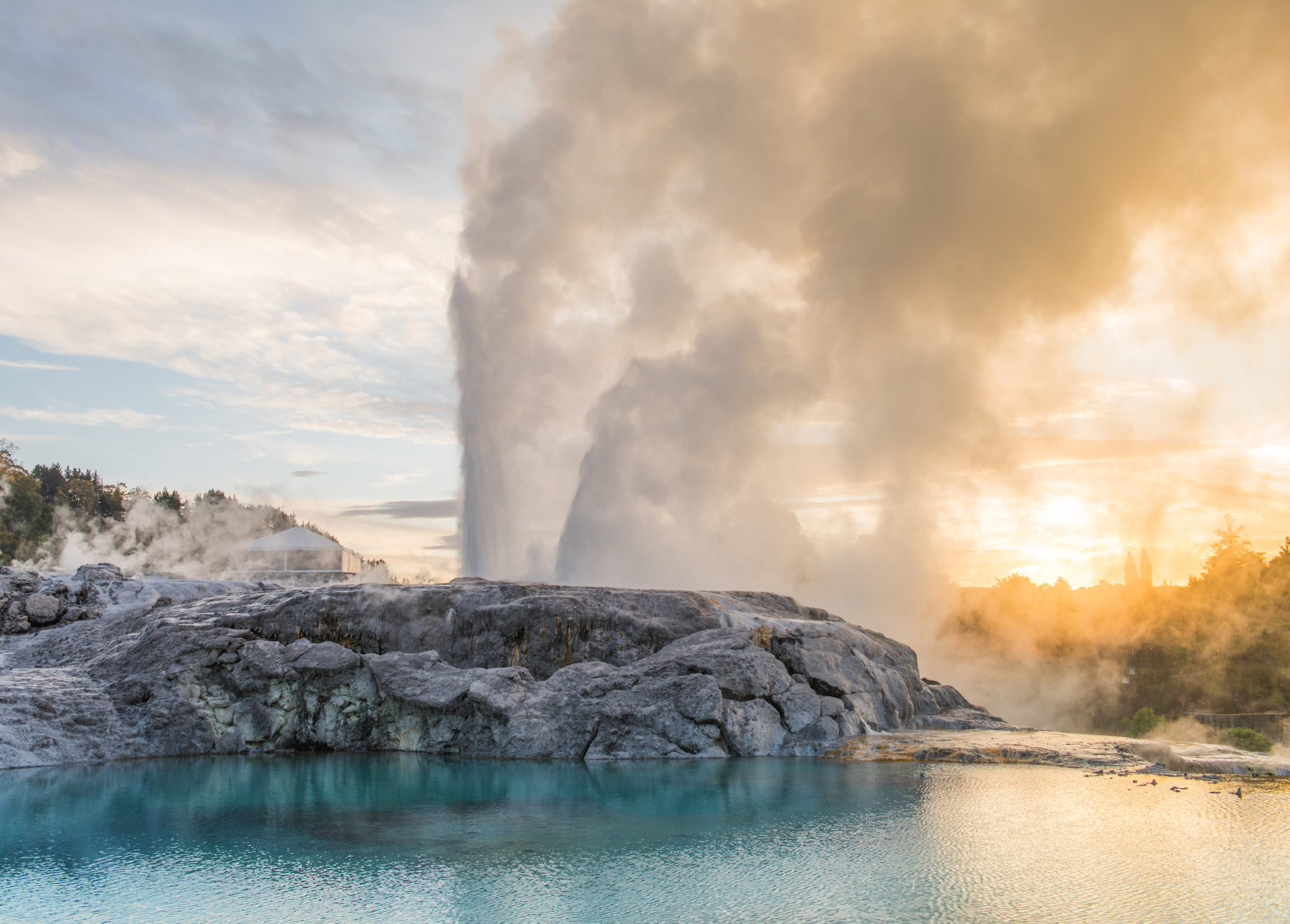 Rotorua, Pohutu Krydstogt นิวซีแลนด์