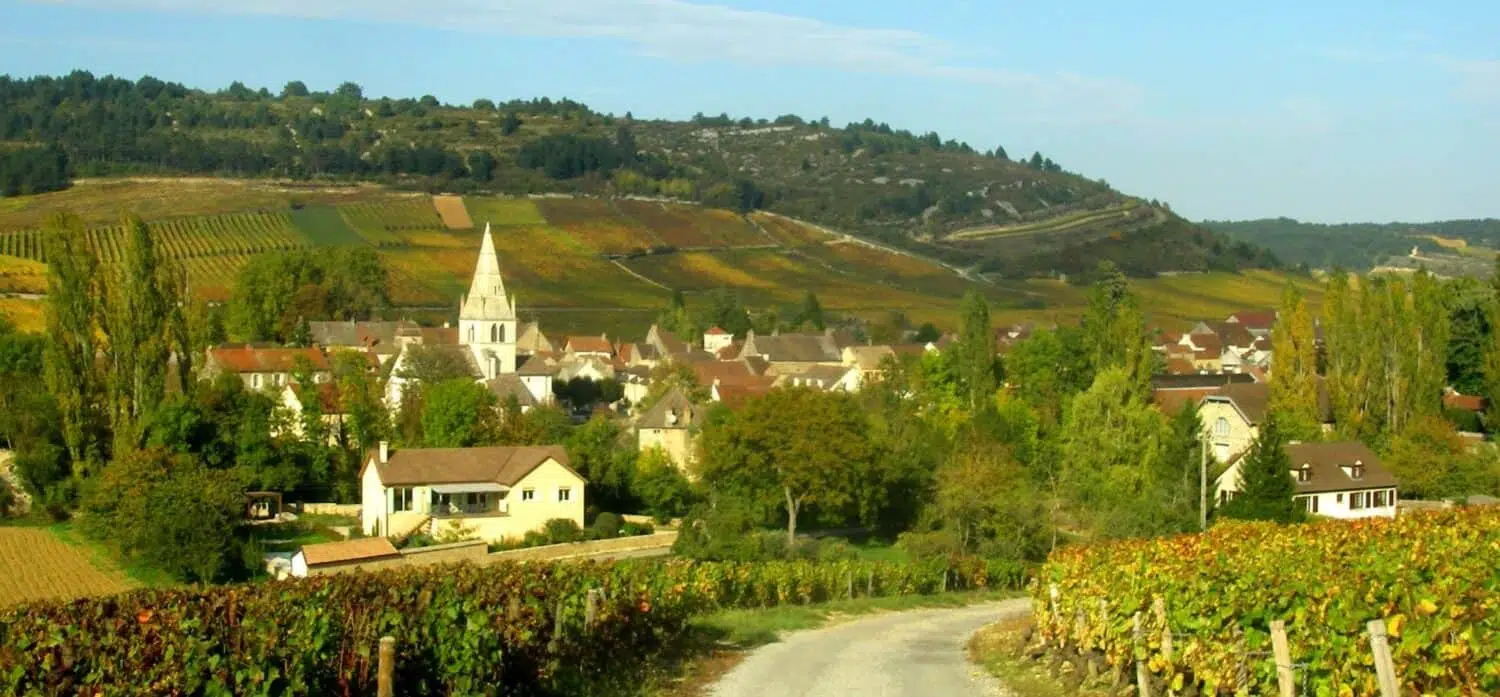 Fransk vin: Auxey-Duresses_paysage bourgogne Auxey-Duresses_paysage bourgogne, fransk vin