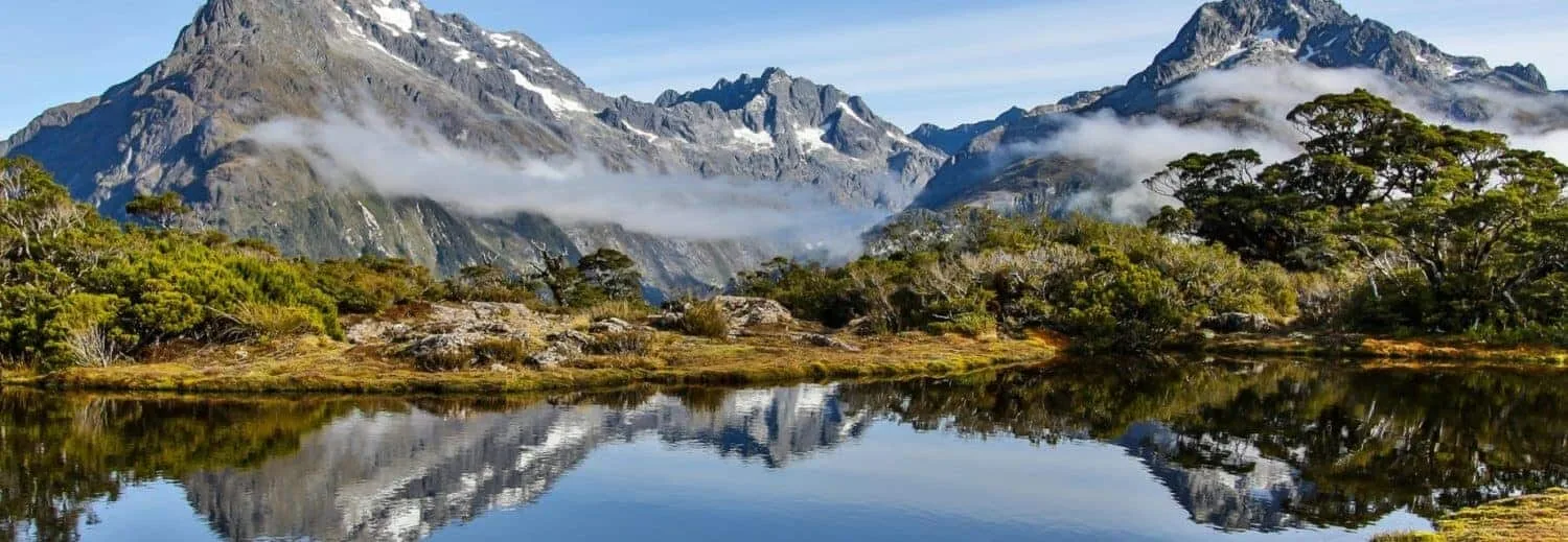 New Zealand Krydstogt
