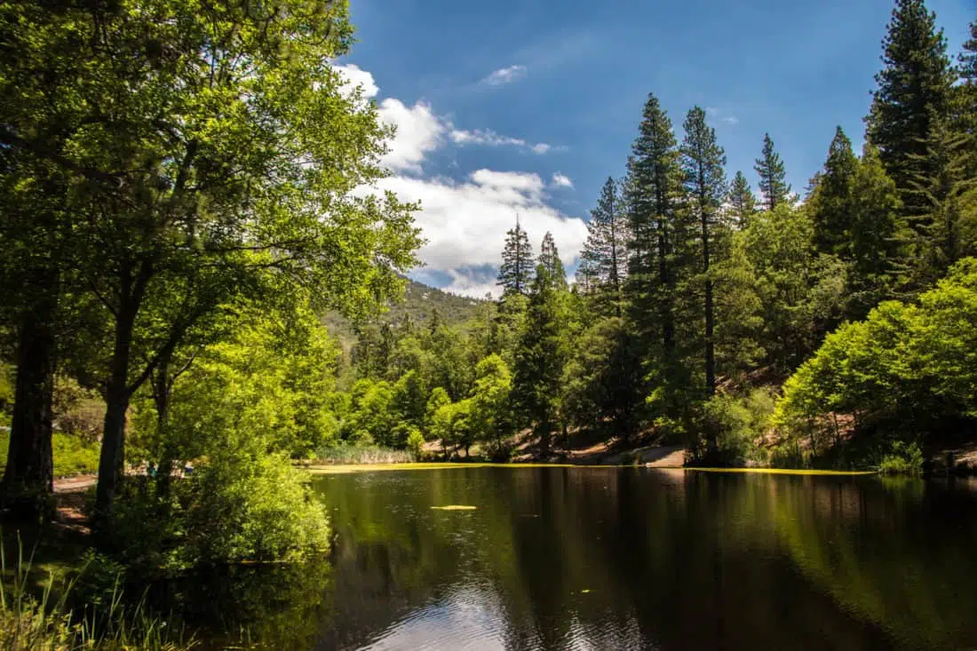 Idyllwild CA, smuk sø