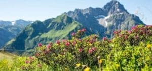 Aktiv ferie i Kleinwalsertal