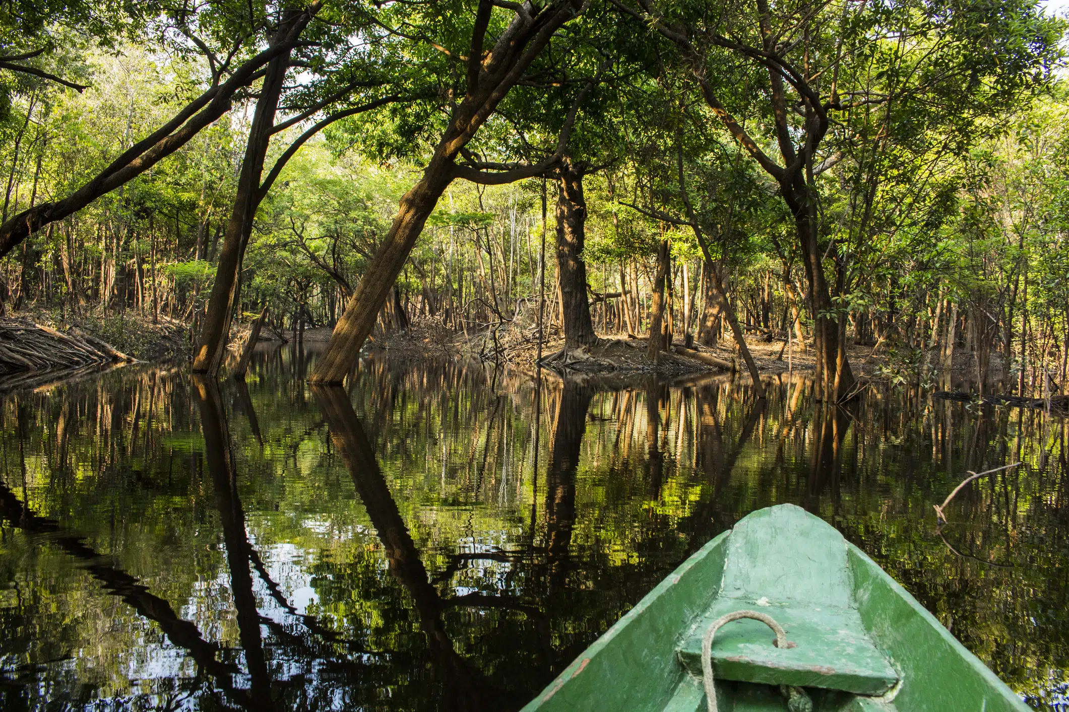 Rio Negro, Amazonas, Brazil