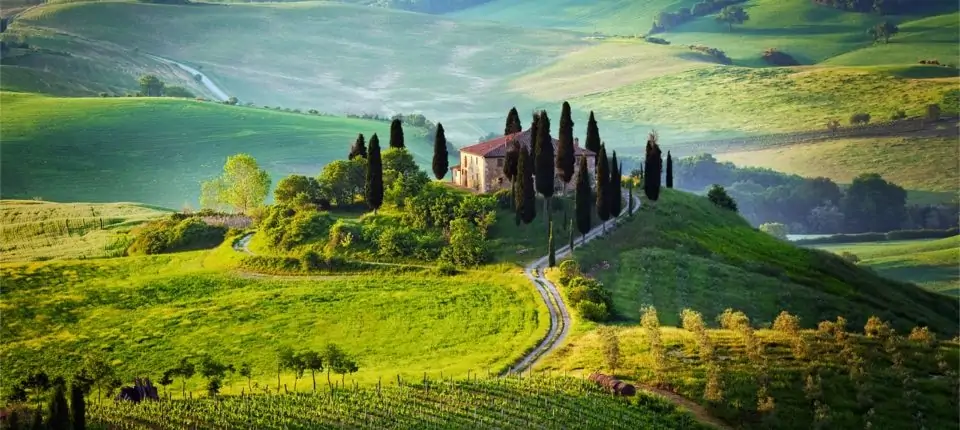 Toscana og vinmarker i et af Italiens førende vindistrikter
