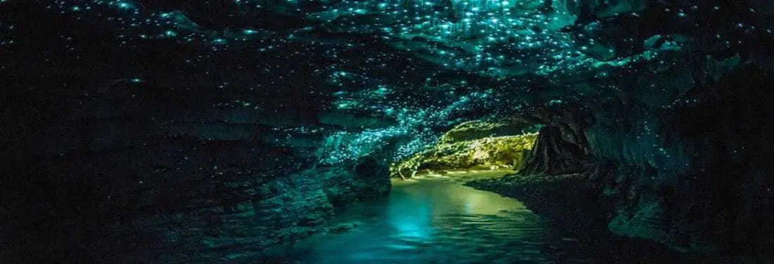 Waitomo Glowworm Caves