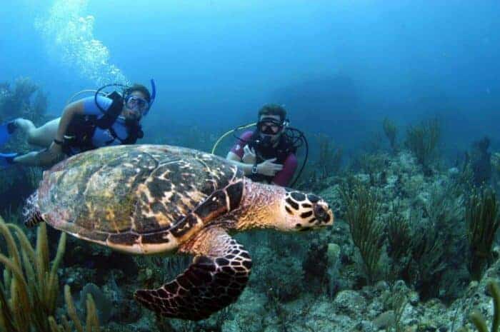 Er du til havfruer og jomfruer ? Dykkerferie i British Virgin Islands