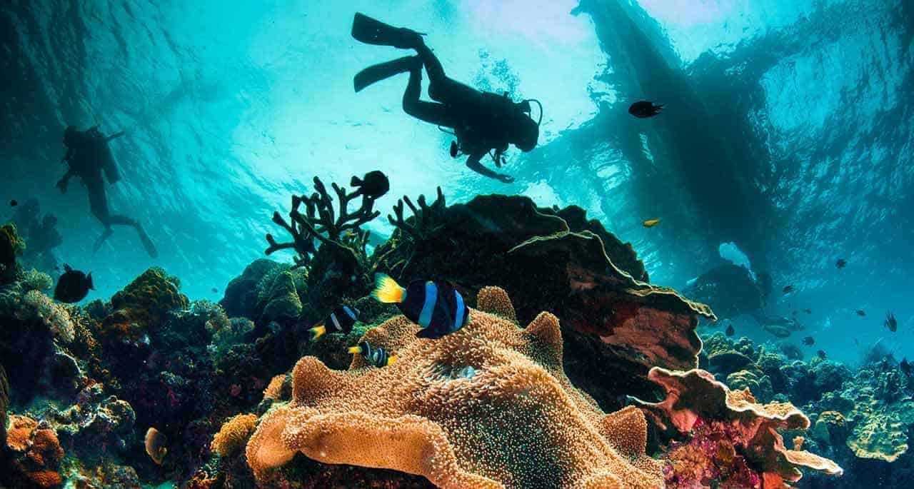 dykkerferie philippines