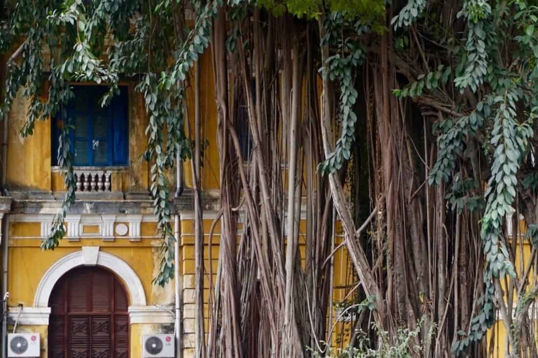 Ho Chi Minh City, Vietnam: Kærlighed i dag og krigsminder fra går, en ny storby 12 ho chi minh 4