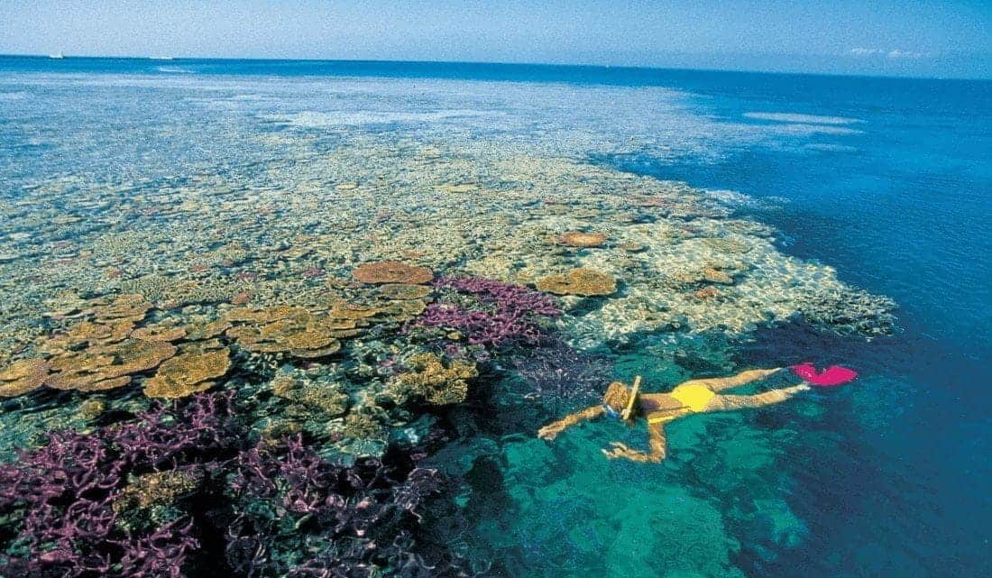Great Barrier Reef i Australien, et rent naturvidunder