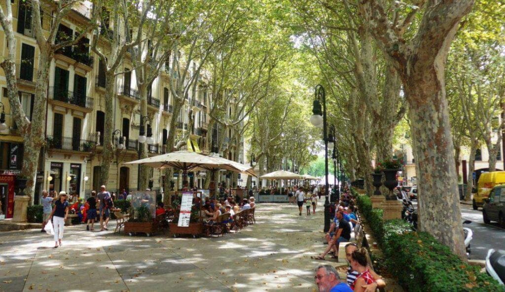 Palma de mallorca. Paseo del Borne