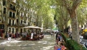 Palma de mallorca. Paseo del Borne