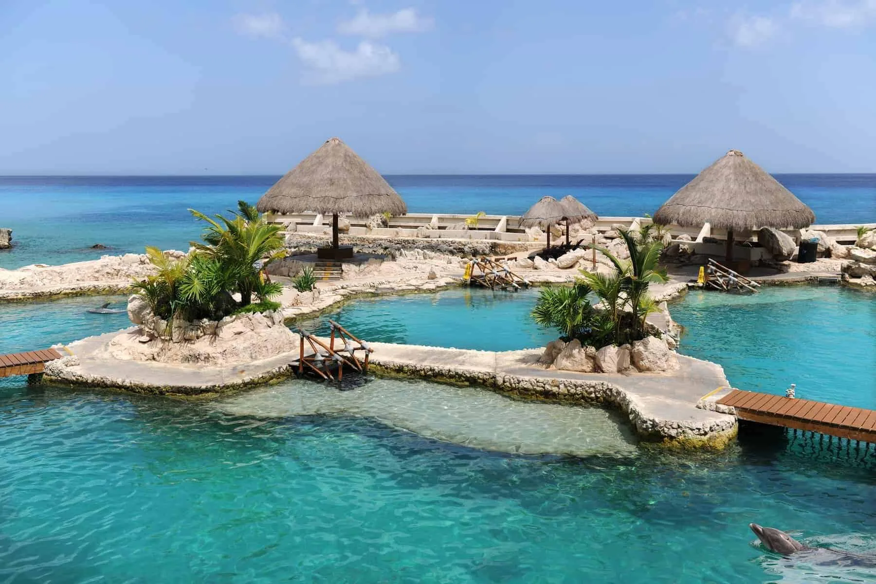 Dolphinarium in Cozumel Mexico with beach in background
