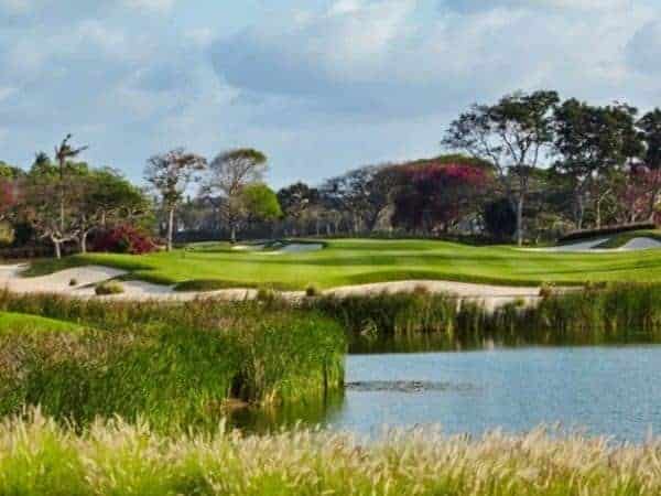 bali national