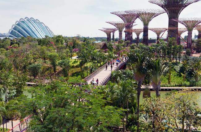 singapore-gardens-by-the-bay-supertrees