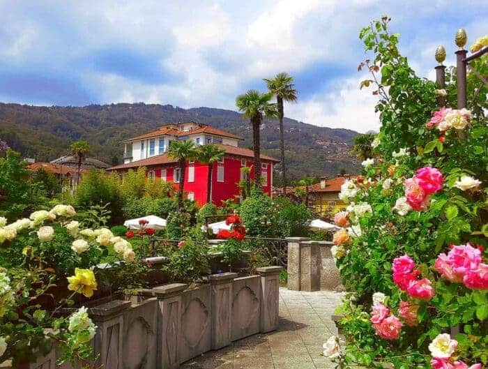 Stresa in Piedmonte. Beautiful panorama, spring blooming roses in the region Piedmont, Stresa, Northern Italy. Stresa is located on the beautiful Lake Maggiore