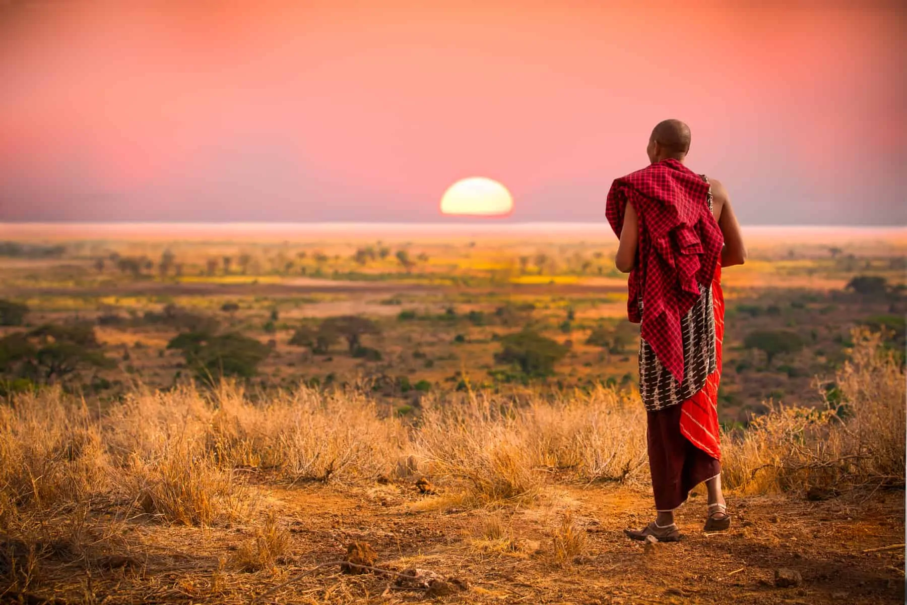 Masai man of Tanzania