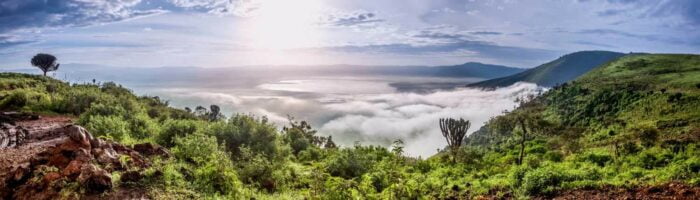 Safari i Tanzania: Ngorongoro krateret