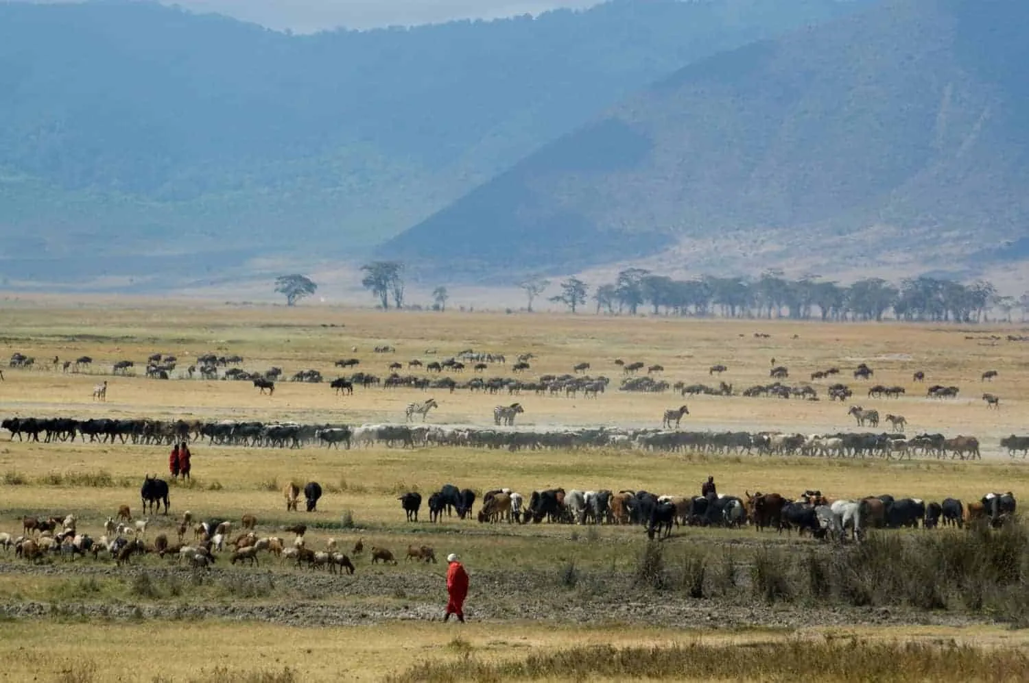 Rejser til Afrika med danske rejsebureauer