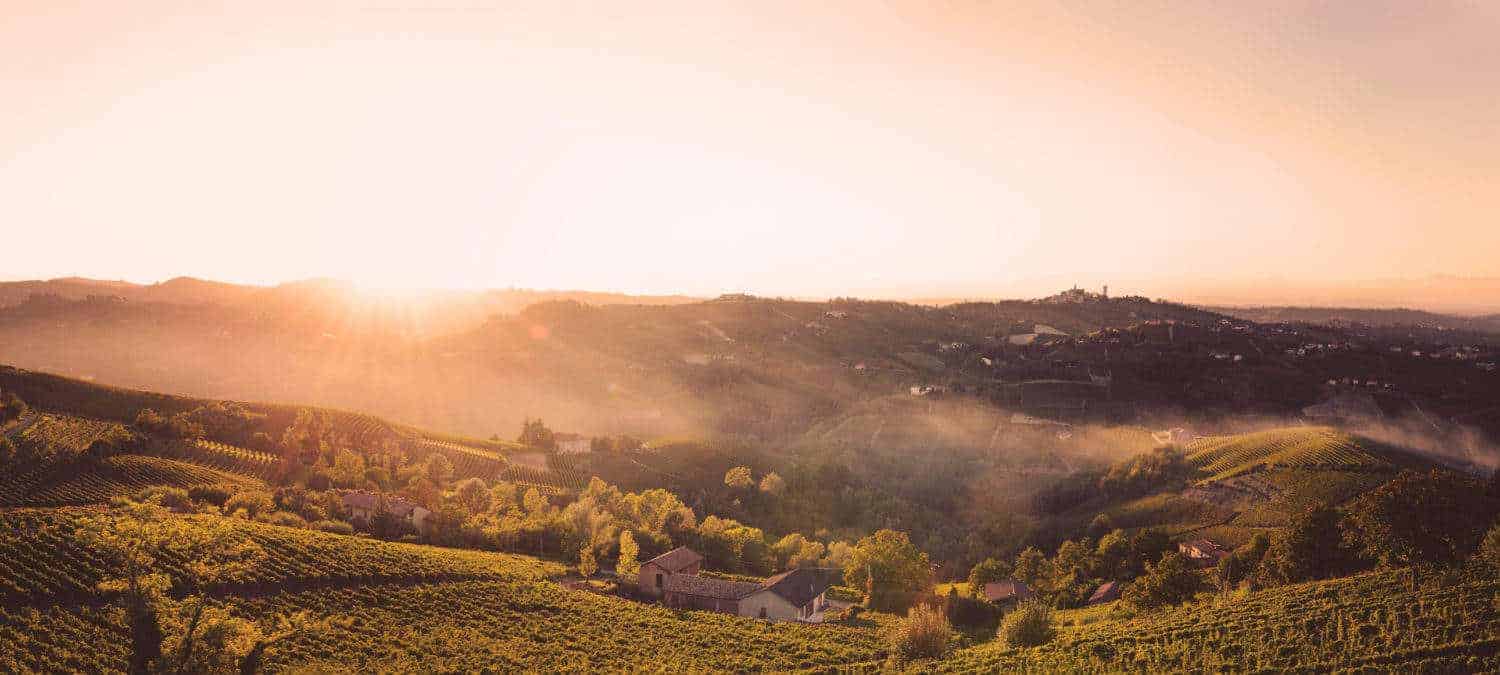 Piedmonte, Sunset in the fields with vineyards in Italy