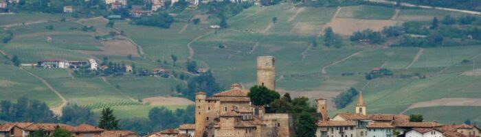 Piedmonte: Langhe hills with castle of Castiglion Falletto