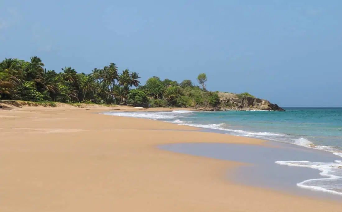Idyllic panoramic view of lush green vegetation and Caribbean sea in the tropical island Guadeloupe. Town Basse Terre in background.