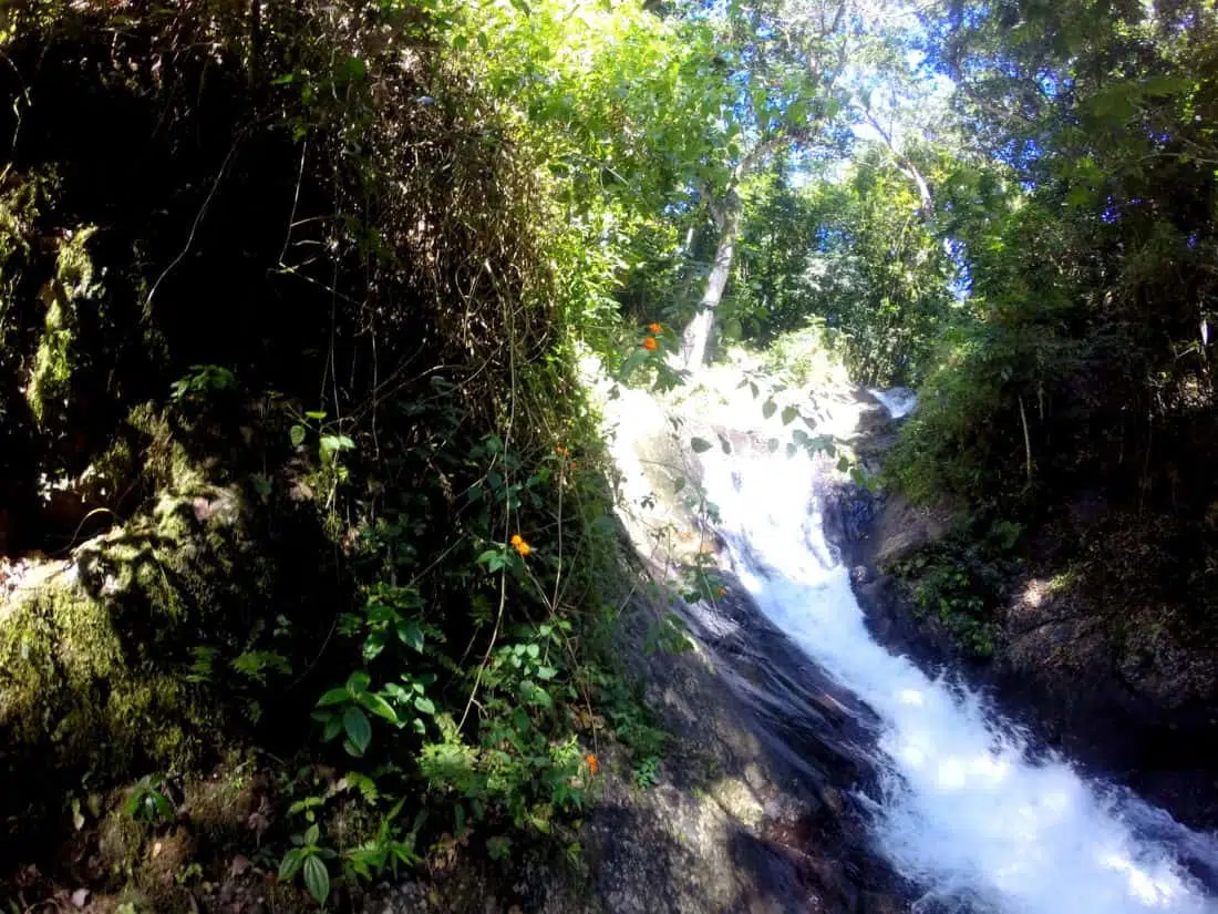 Taveuni Fiji