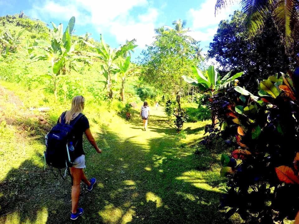 Taveuni fiji øerne
