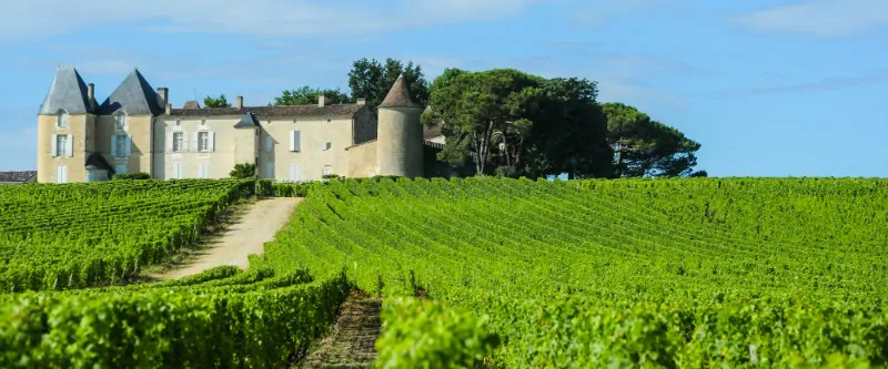 Fransk campingferie på kendte og ukendte vingårde