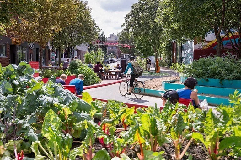 Montreal, TerrassesRoy
