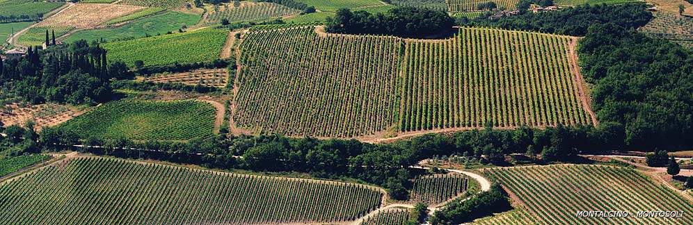 Altesino, vinmarker. Brunello di Montalcino