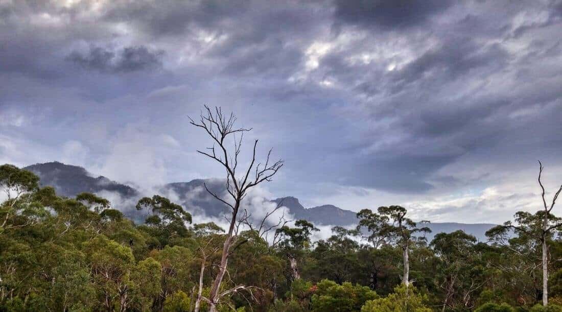 Grampians, regnskov og bjerge i Australien.