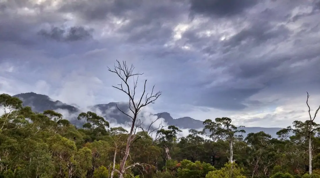  Grampians, regnskov og bjerge i Australien.