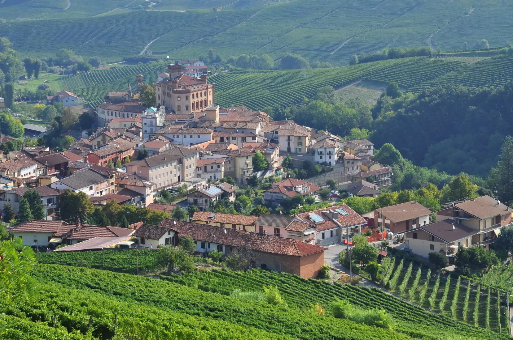 Langhe, the main Piedmont wine producing area. Barolo village. Unesco world heritage site. Vineyards on the South Piemonte hills, Italy. Italian green landscape