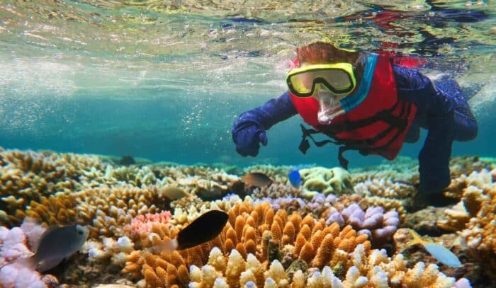 Great Barrier Reef, Queensland, diving