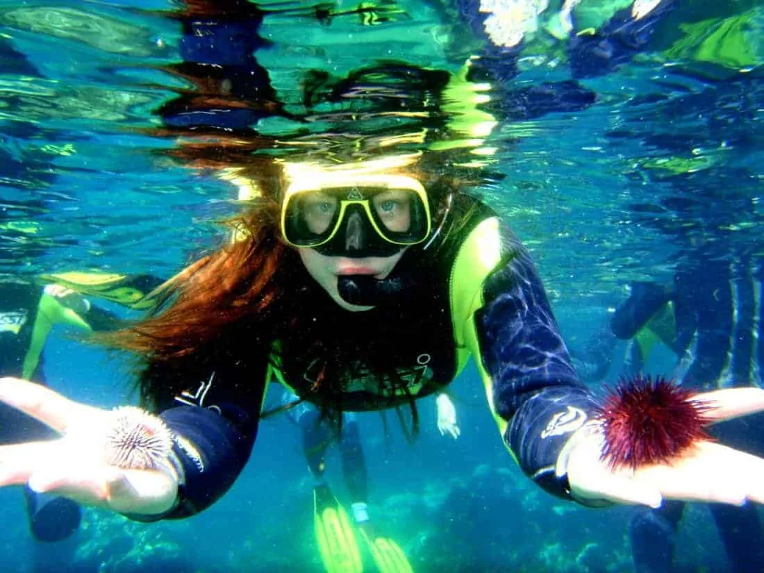 La Santa Diving