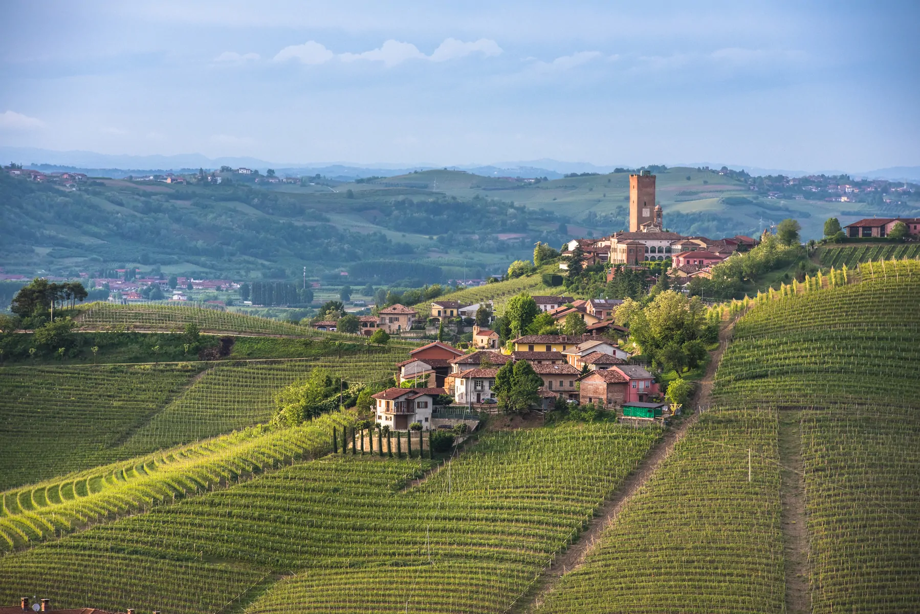 Scenic panorama of Piedmont vineyards and Barbaresco town