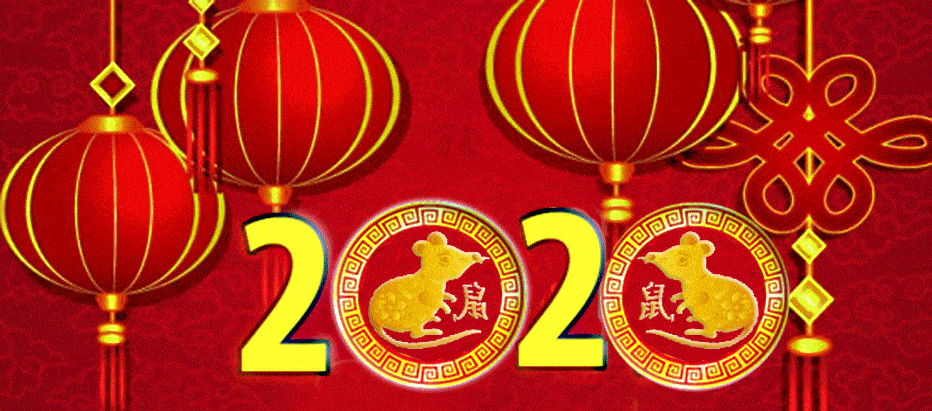 Chinese New Year 2020. Rotten Year of 2020
