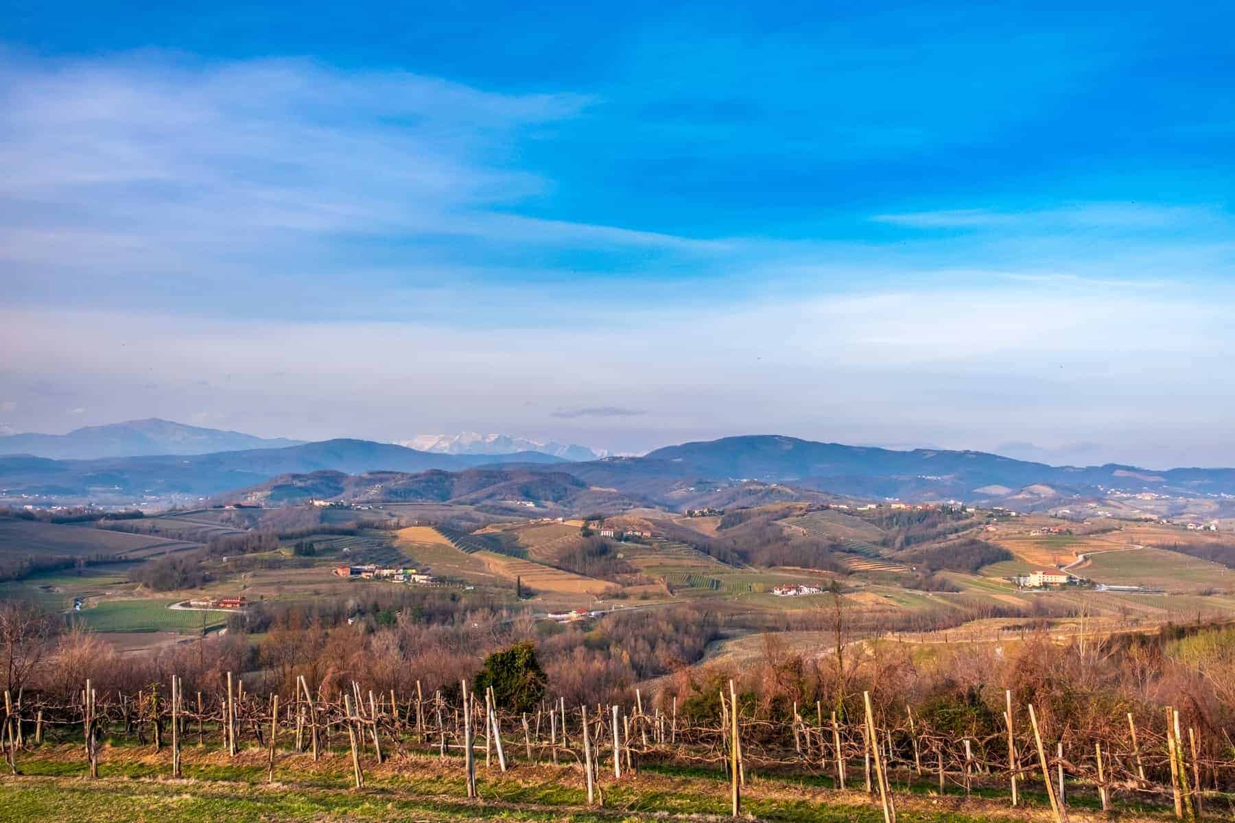 The sun goes down in the vineyards of Friuli Venezia-Giulia