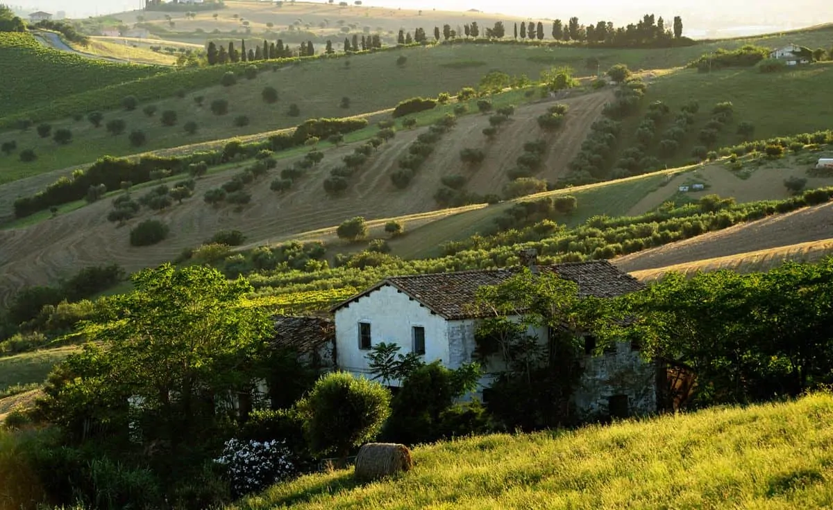 Abruzzo vinmarker, Italiens vindistrikter