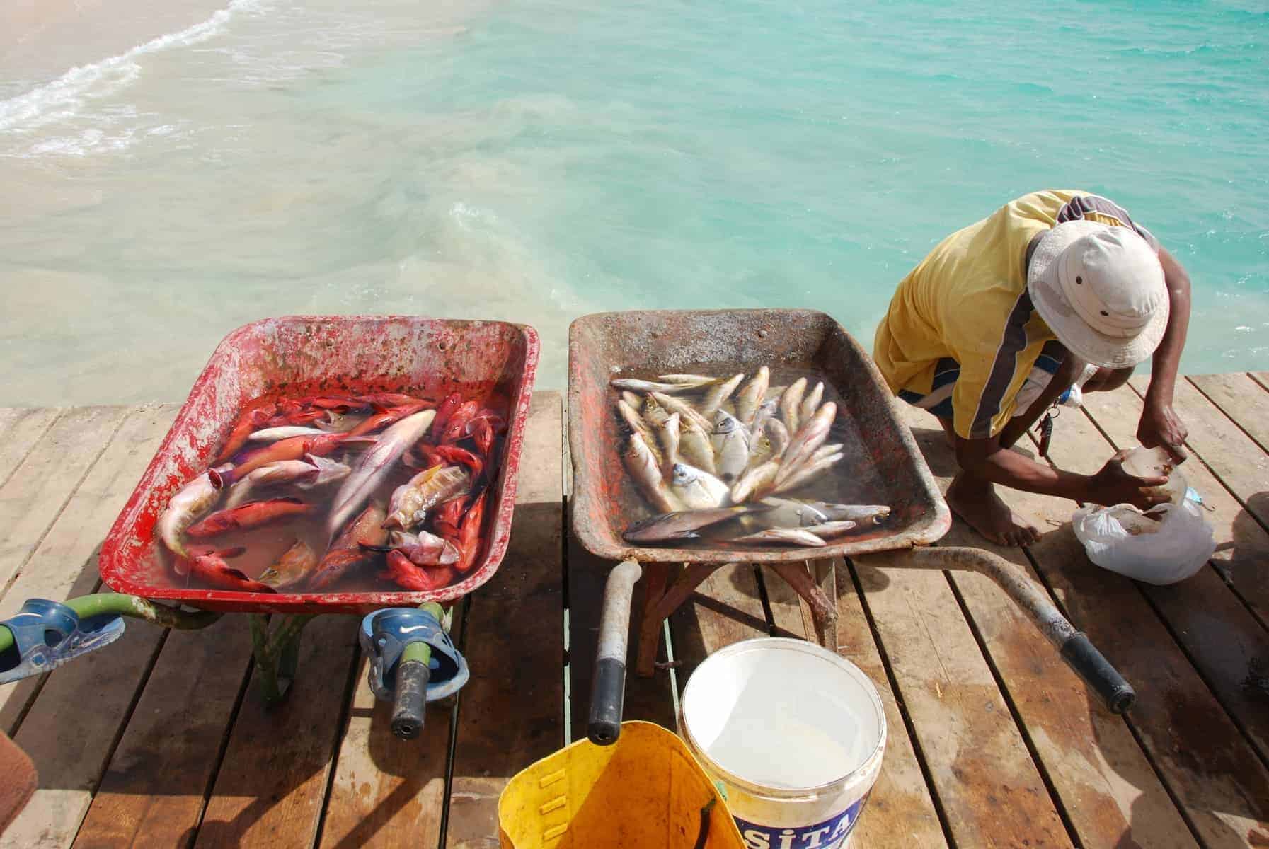 Kap Verde byder på helt frisk og lækker sea-food