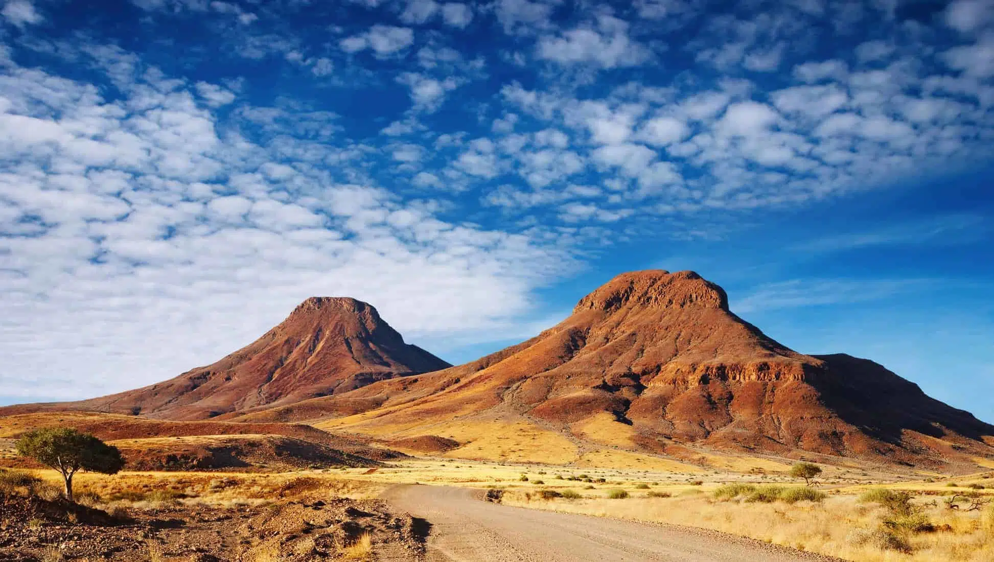 Namibia-Kalahari-desert. Rejser til Afrika