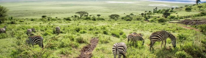 Safari rejsemål i Afrika Ngorongoro-Crater-Tanzania