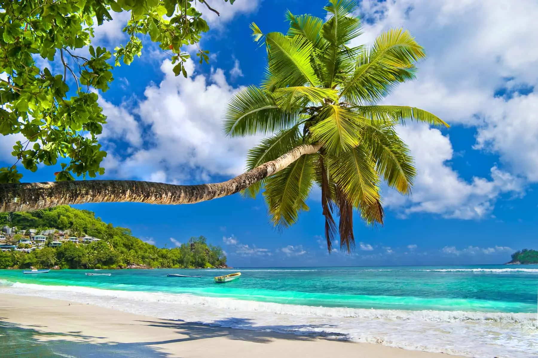 Bedste rejsemål for en dejlig ø-ferie - Seychellerne