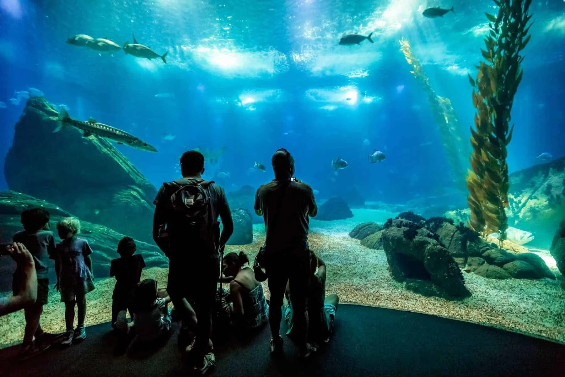 Lisbon, Portugal - August 24, 2017: family watching scenic central tank of Lisbon Oceanarium, in Parque das Nacoes, one of the largest aquarium in the world. Tourism, holidays and leisure concept.
