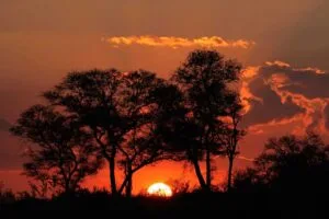 Safari i Sydafrika, Krüger Savanna sunset