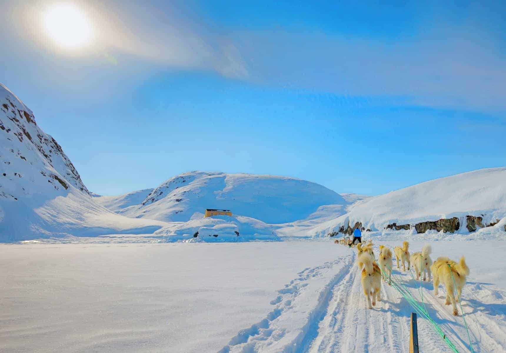 Hundeslæde i Grønland, forår