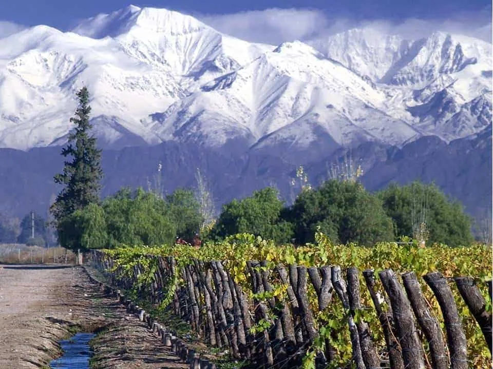 Maipo Valley winery