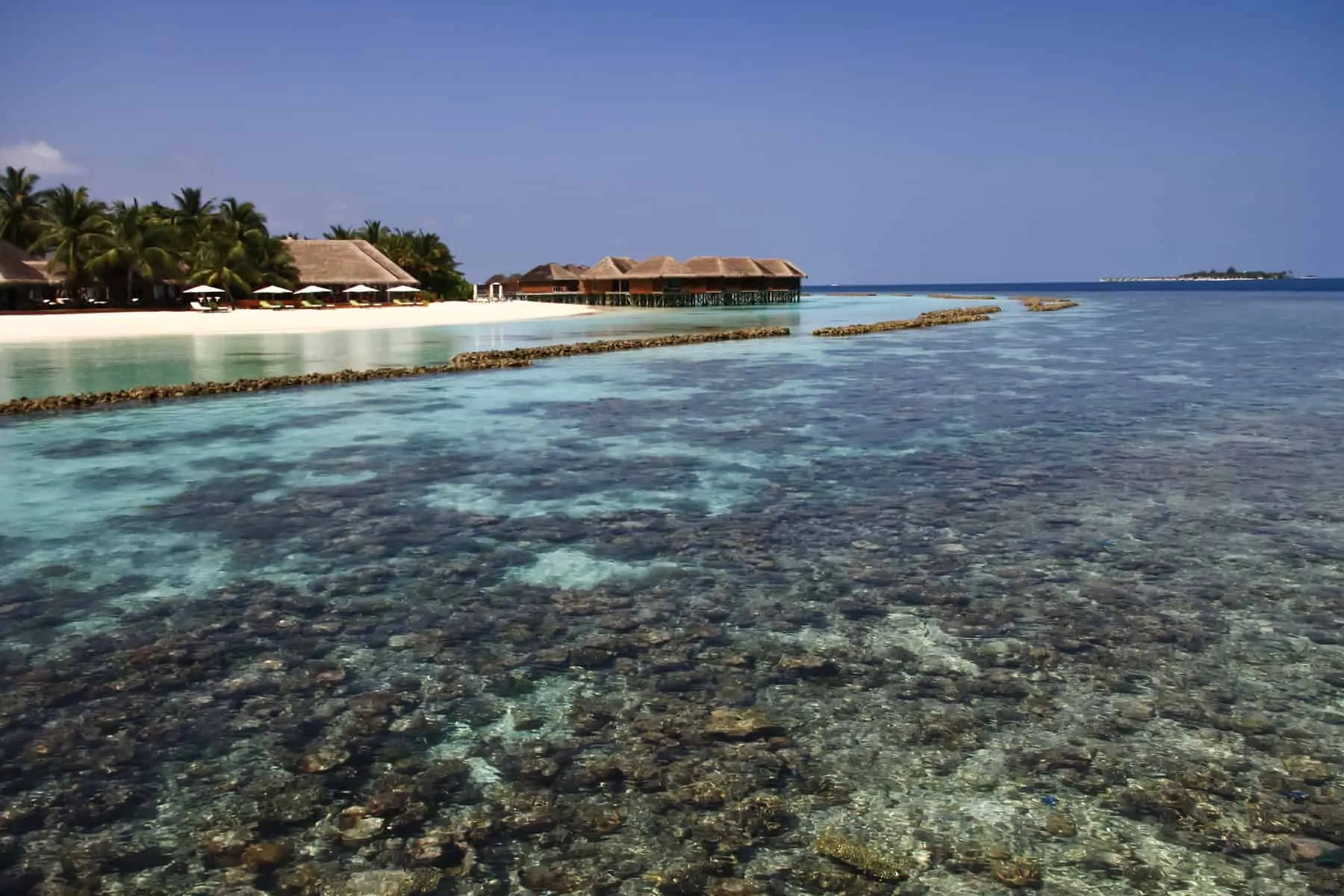 Maldivian Island Resort Clear Waters and Pacific Ocean Reef
