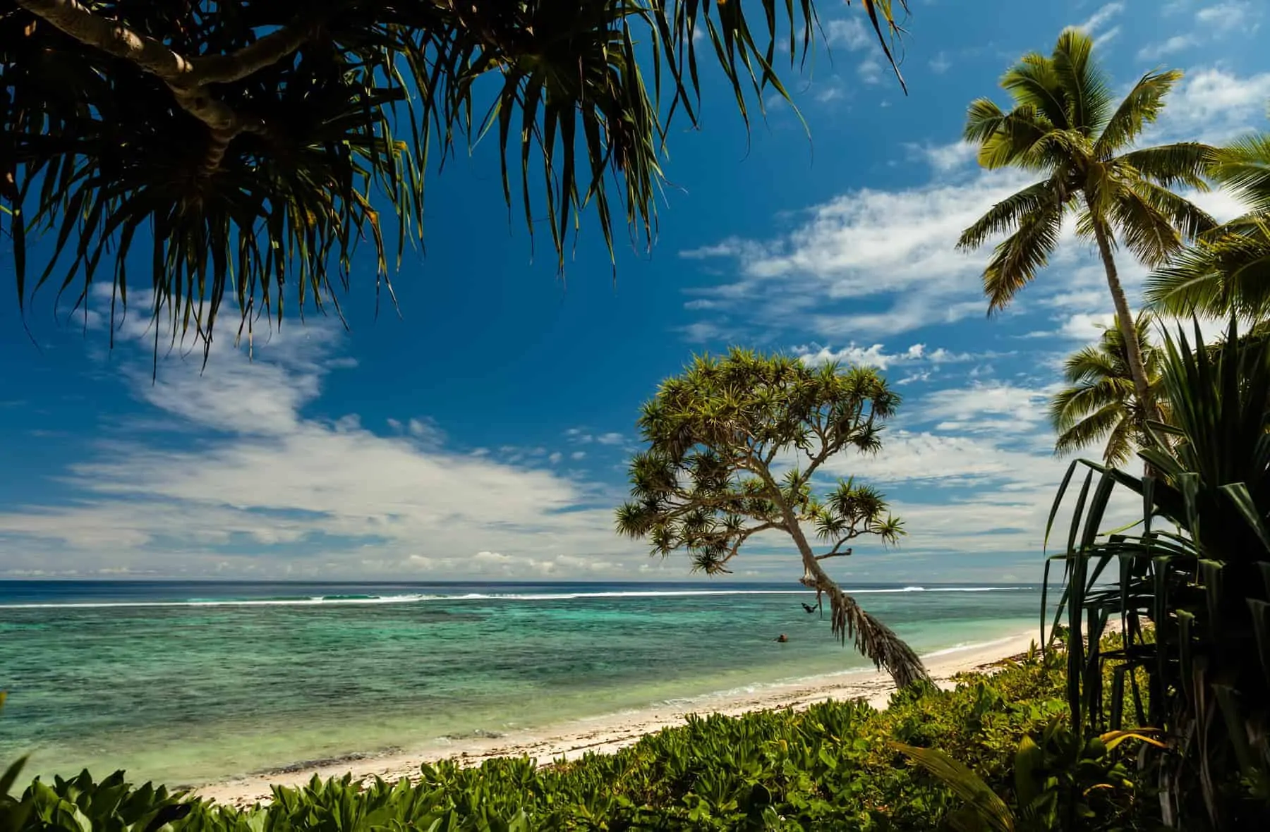Rejsemål i Stillehavet Tonga en stor øgruppe og skønhed