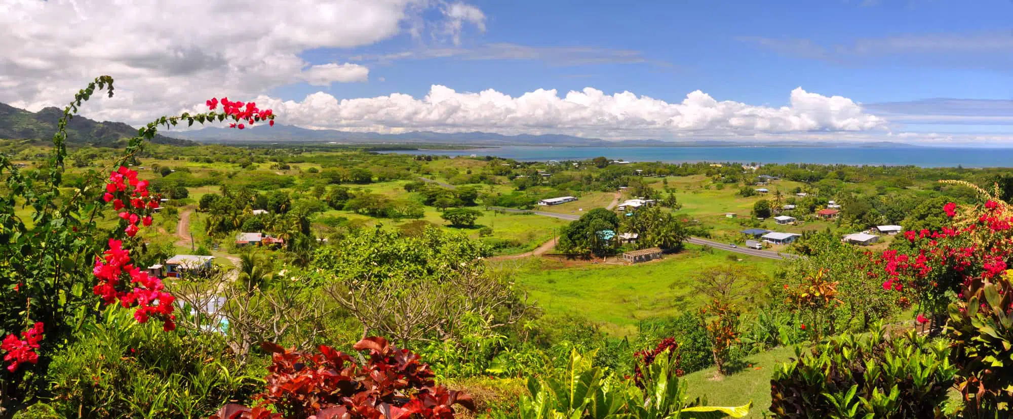 Fijian west coast. In the foreground Hibiscus - the Fijian national symbolic flower. In the background Nadi and Denarau Island.
