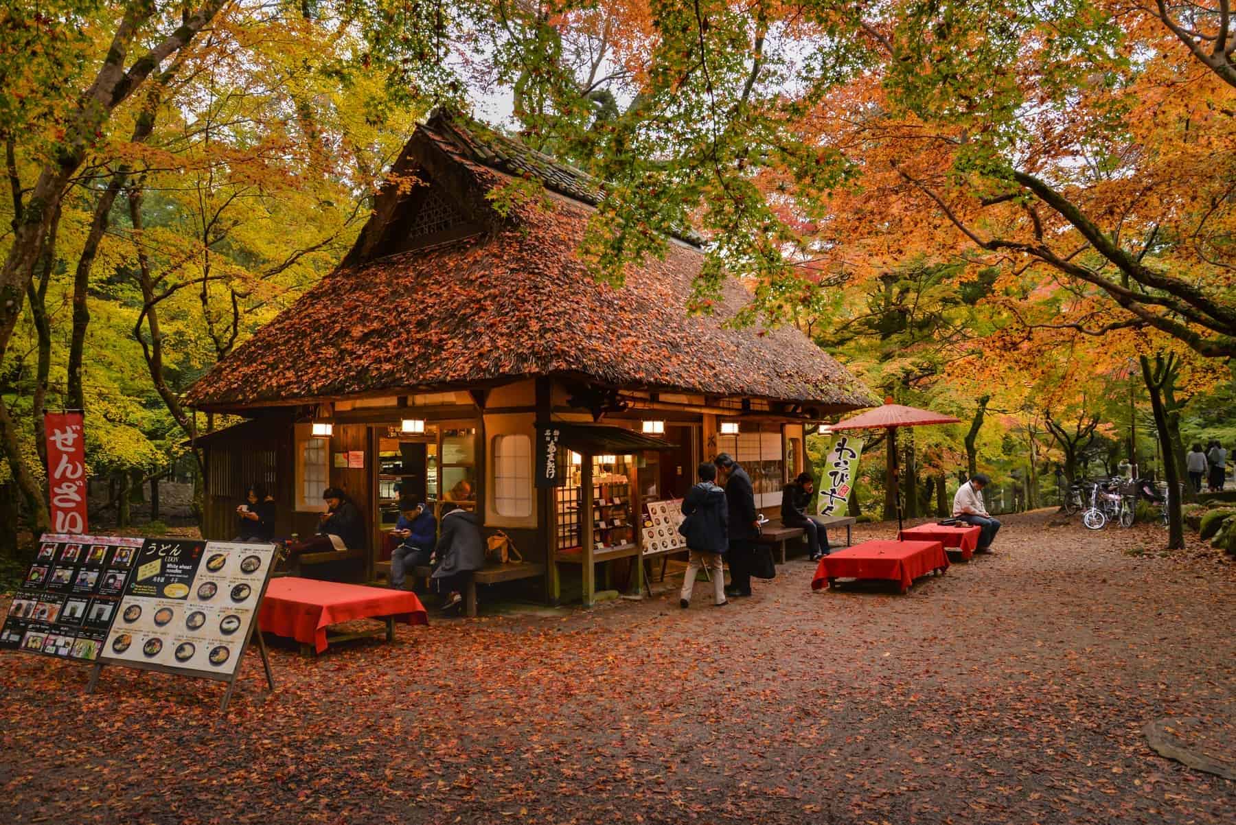 Nara I Japan. Lille mad break på Japansk i smukke omgivelser